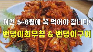 찐당골들만 다닌다는 서해안 밴댕이회무침 &amp; 밴댕이구이 맛집! 인천 연안부두 '금산식당'