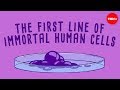 The immortal cells of Henrietta Lacks - Robin Bulleri