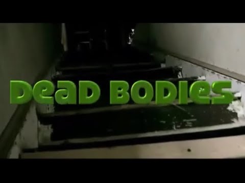 Dead Bodies x Peso Lee 2018