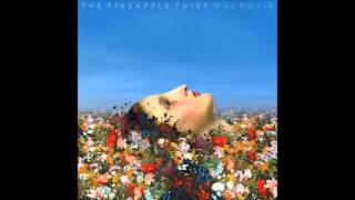 The Pineapple Thief - The Fins Fan Me