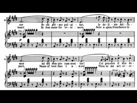 Caro nome che il mio cor (G. Verdi) from Opera 'Rigoletto' / Piano accompaniment