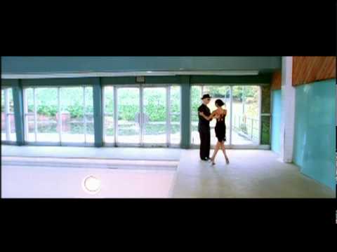 Bocephus King - 8 &1/2