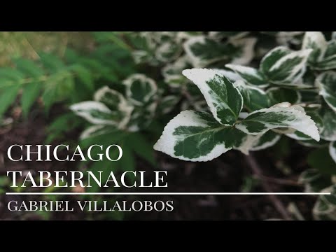 Sunday, February 20th, 2022 - Pastor Gabriel Villalobos - "How Can I Overcome?"