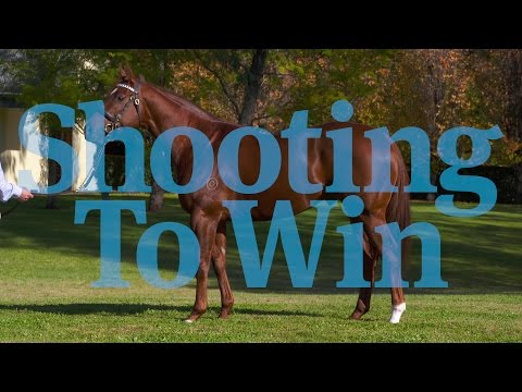 Shooting To Win - the Guineas hero. Watch our new reverse shuttler in action.