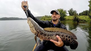 BIG Snakehead on a LITTLE Popper!!! (Snakehead & Bass Fishing)