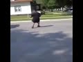 How It Feels To Five Gum Guy Gets Runed Over By Car
