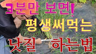 벌초 낫질 하는법 한번 배워두면 평생 안 배워도 되는  꿀팁