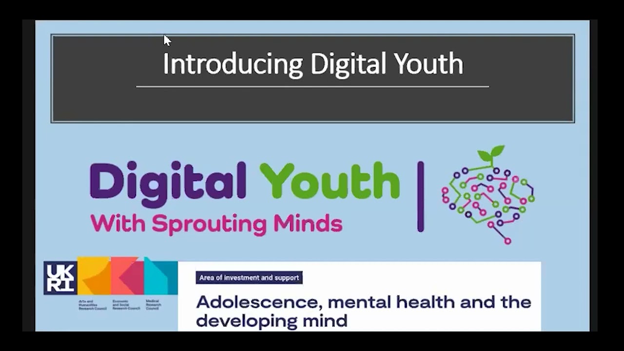 Digital Youth: managing risks and building resilience with young people in the digital world