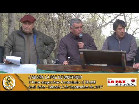 02-09-17 Venta de Toros Puros Controlados - Cabaña La Paz de Werthein - Gral. Acha