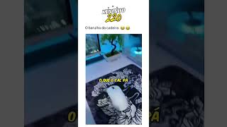 TENTE NÃO RIR: OS MELHORES VÍDEOS🤣 #vizualiza #videosengracados #tentenaorir#humor #comedia #tiktok