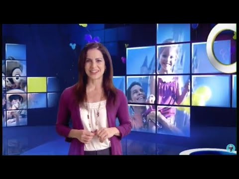 Must Do Disney 3.5 Hour Loop, THANK YOU, STACEY - 2011, 2015, 2017, 2019, 2020 x 2 - Disney World