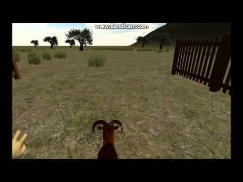 ecco come un sardo si incula le percore (anche se è una capra il conetto è quello)