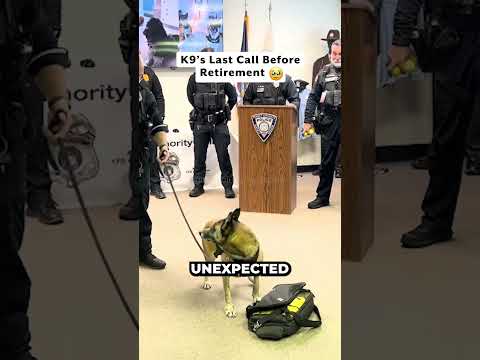 Officers' Big Surprise for K9 🥳