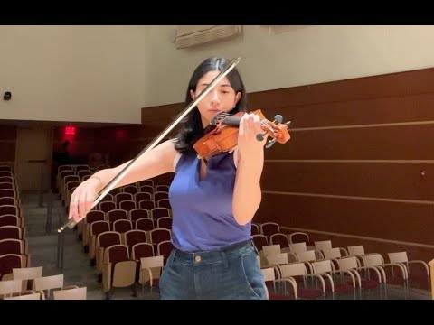 Eryth Sea (Night) - Xenoblade Chronicles - Aya Hobeika, violin