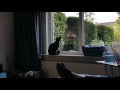 Barney Feels Lonely