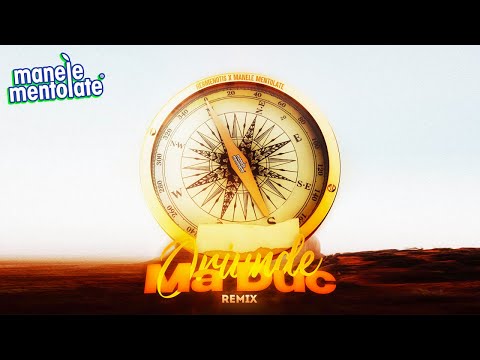 Hermenotis x Manele Mentolate - Oriunde ma duc ( Iuly Neamtu x Alberto Grasu x Ursaru Remix)