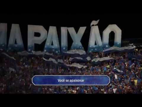 BOI CAPRICHOSO - FESTIVAL DE PARINTINS 2014