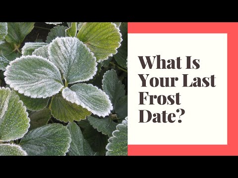 Last Frost Date By Postcode
