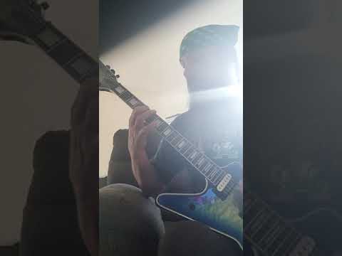 PÄNZER🐺WÖLF         "Vikings Sail"