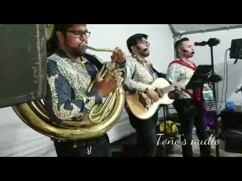 El Muchacho De Ensenada - Steve Flores Y Sus Consentidos (Fiesta Privada)