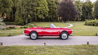 1962 Alfa Romeo Giulietta Spider oldtimer te koop