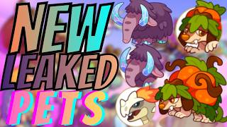 Prodigy Math Game | NEW Leaked Pets Coming to Prodigy!