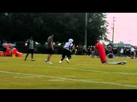 Gamecocks Fall Practice - Skai Moore