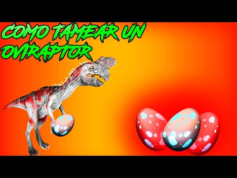 COMO TAMEAR UN OVIRAPTOR EN ARK SURVIVAL EVOLVED