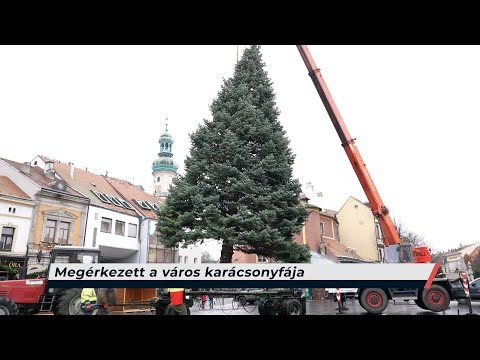 Híradó – 2025.11.25. – Kedd