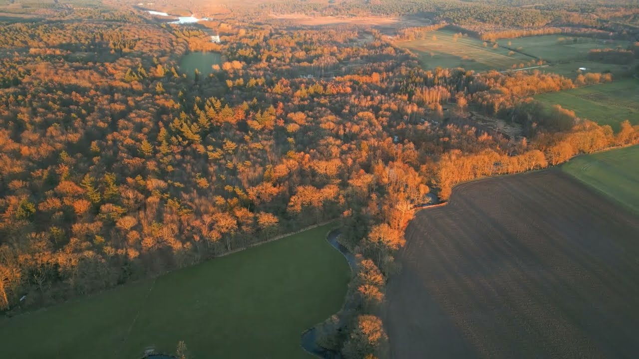 Vorschaubild zum Trailer von Schwalmgeschichte(n)