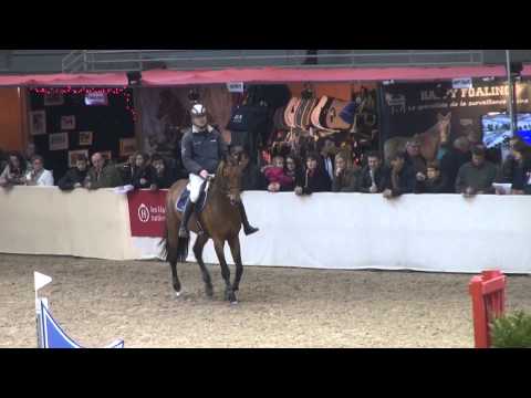 Urano de Cartigny (webstallions.com)