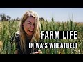 Farm Life In Western Australia S Wheatbelt Kellerberrin Wheat Lupins Canola And Sheep