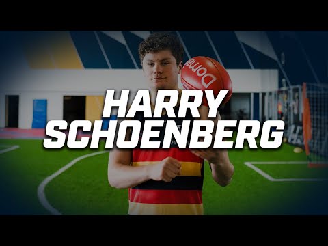 Meet Harry Schoenberg