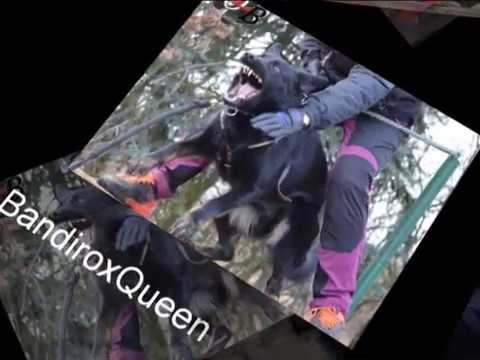 Aurra Orrylordblack -Protection 2/2020 (1)