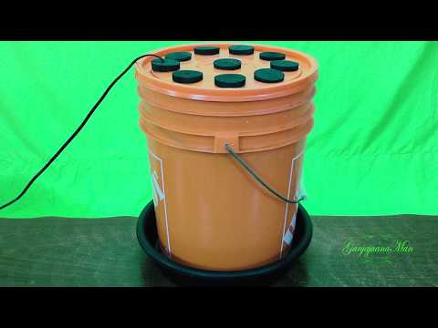 How to make the best Hydroponic Super Cloner