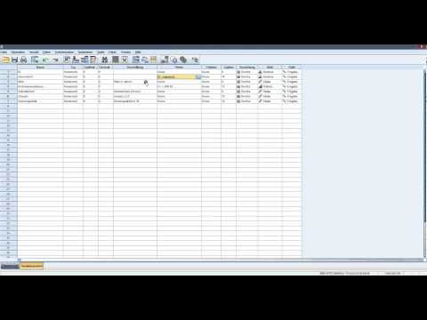 Korrelationen - Erläuterung & Fallbeispiel mit SPSS