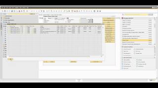 Vídeo de SAP Business One