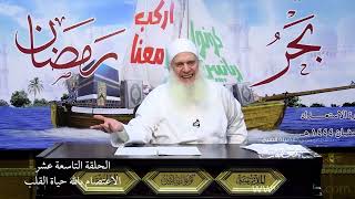 صورة 19 - الاعتصام بالله حياة القلب | اركب معنا بحر رمضان 1444 ه