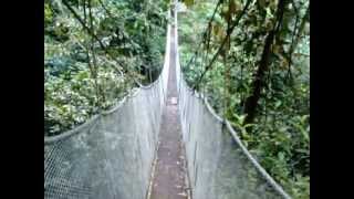 preview picture of video 'hanging bridge in Rainmaker Costa Rica'