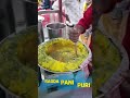 Ragda Pani Puri Ytshorts Streetfood