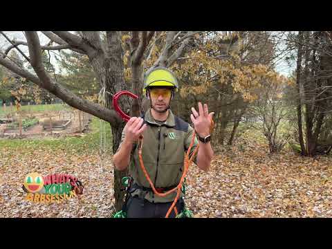 What's Your Arbsession?  DMM Captain Hook