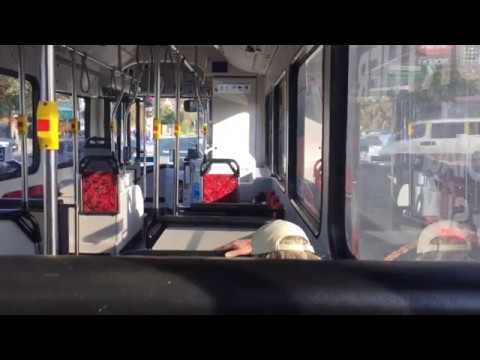 Transit Systems Sydney 1868 ST - Mercedes-Benz O500LE CNG (ZF)