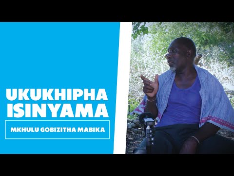 Ukukhipha isinyama - Mkhulu Gobizitha