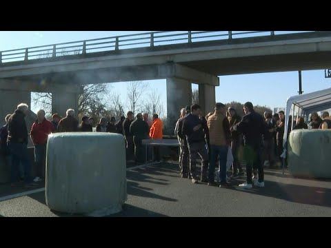 Video | Farmers in southwestern France block highway to protest culling of cows due to skin disease | AFP