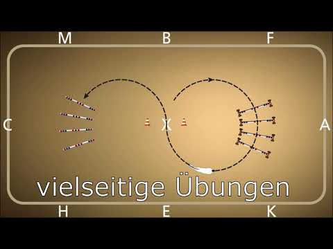 Buch Trailer Stangen-Workout für Dressurpferde