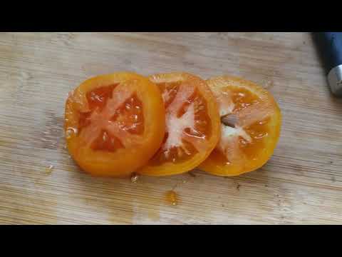 #singleseedchallenge2021  Orange Peach Tomato Taste Test #shorts