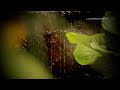 Jeff Pearce - In The Shadows Of Light (LandscapeHD)