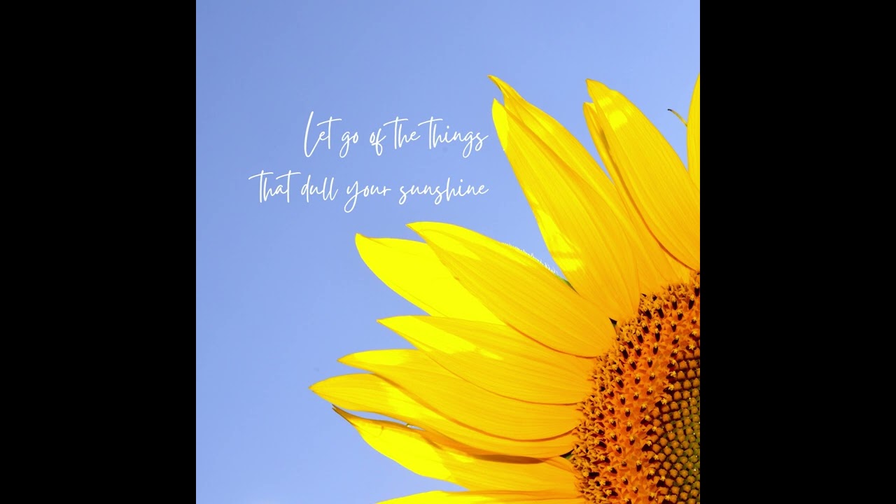 Let Go of the Things Sunflower  Quote