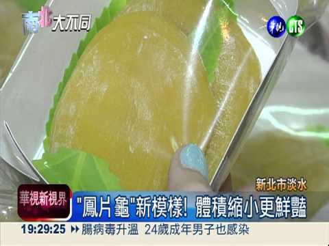 迷你版"鳳片龜" 小巧好入口!
