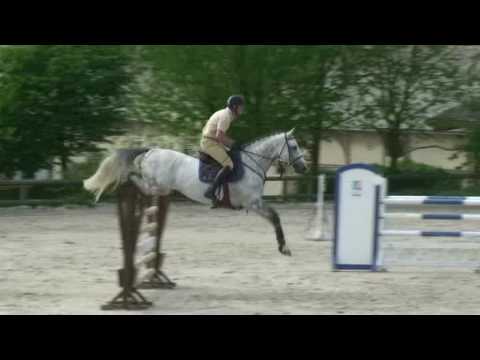 Vidéo de Toscan de Sainte Hermelle